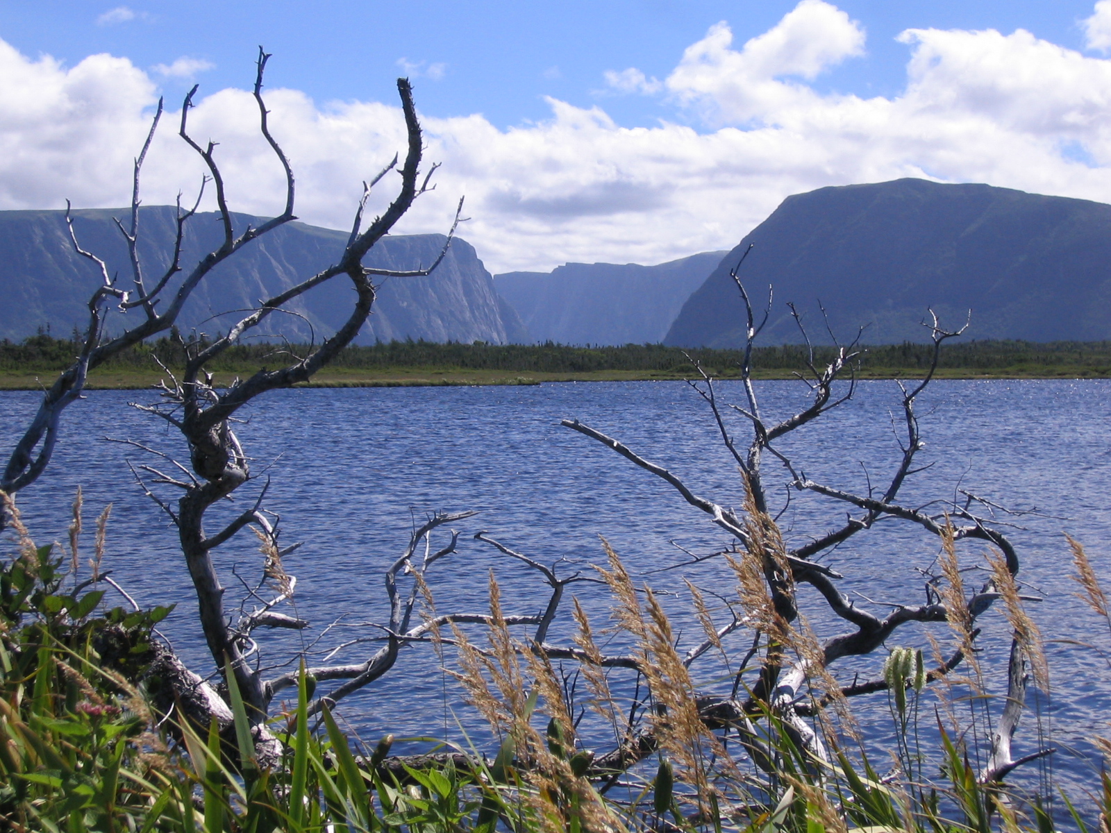 Family Time Visiting Gros Morne National Park Marble Zip Tours Family Time Visiting Gros Morne National Park Marble Zip Tours