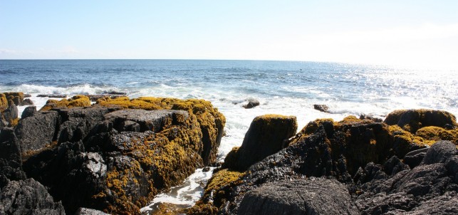 places to visit in Newfoundland