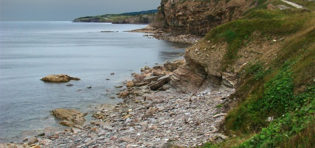 western-newfoundland